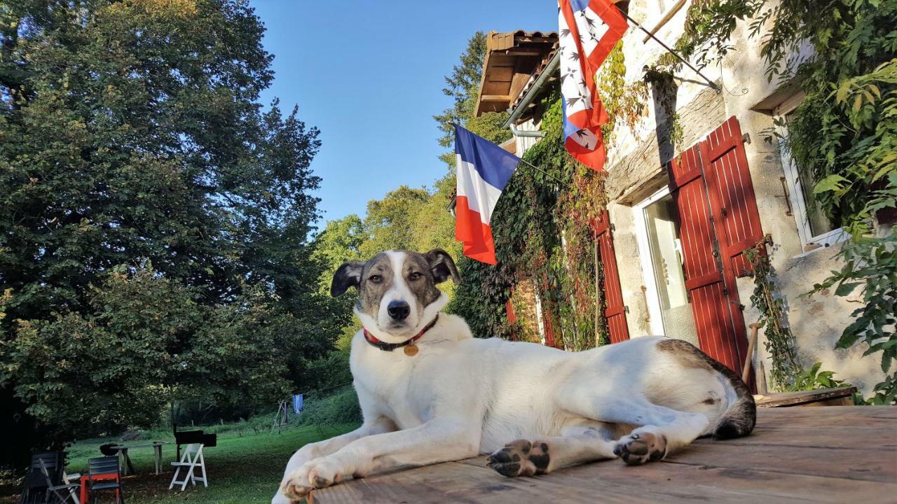 Le Moulin De Pensol - Gites Esterno foto