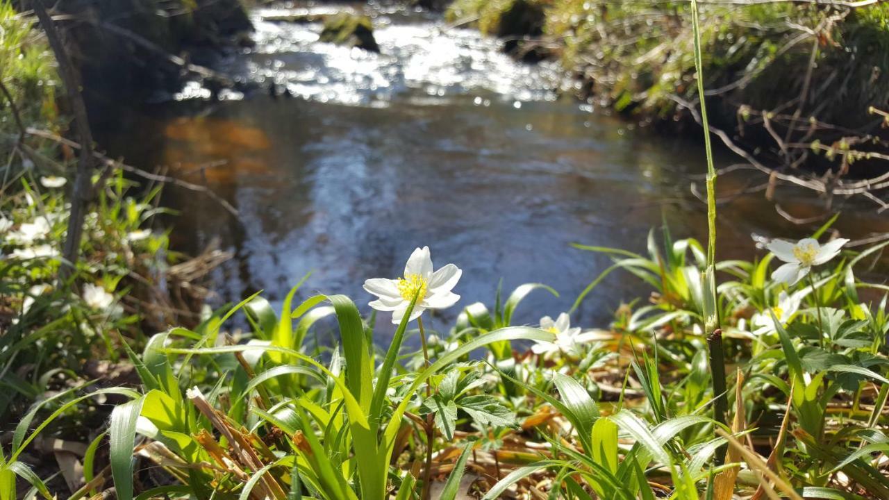 Le Moulin De Pensol - Gites Esterno foto